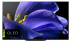 Sony KD-55AG9 BAEP