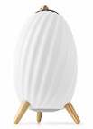 Nedis Bluetooth Högtalare med Stämningsbelysning Large - SPBT35810WT