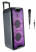 NGS Wildrave 2 Bluetooth Partyhögtalare