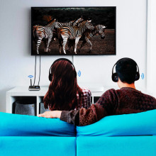 Logilink Bluetooth ver 5.0 Mottagare eller Sändare
