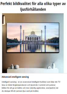 Panasonic TV-65W95 AEG