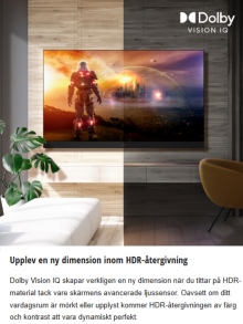 Panasonic TV-65W95 AEG