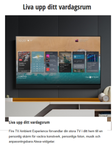 Panasonic TV-65W95 AEG